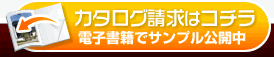 J^O͂